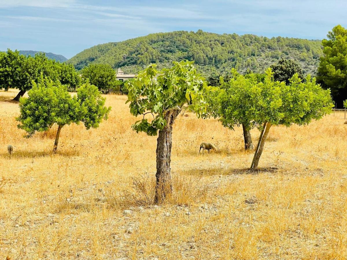 Wunderschöne Mit Wlan * Alcúdia